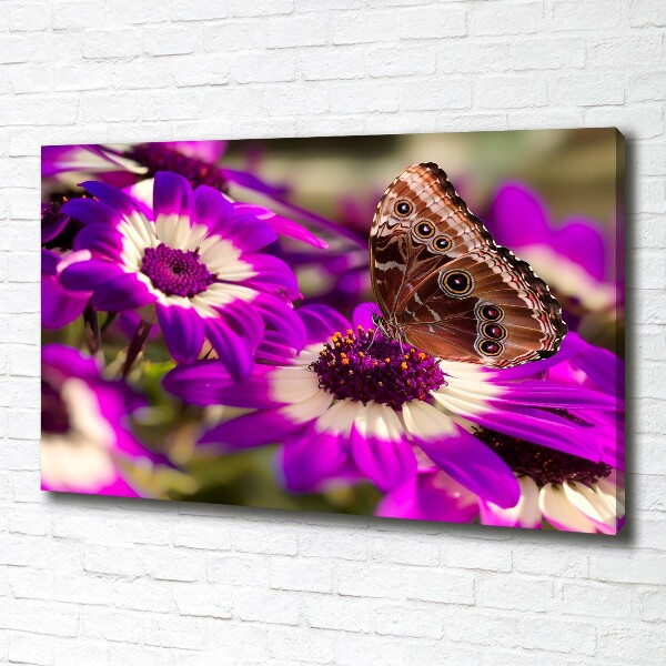 Bild auf leinwand Schmetterling auf einer Blume