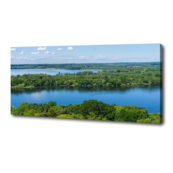 Bild auf leinwand Wald am See