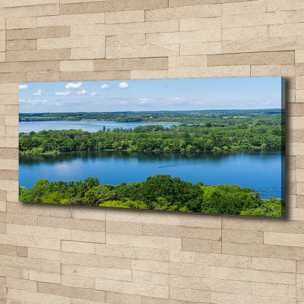 Bild auf leinwand Wald am See