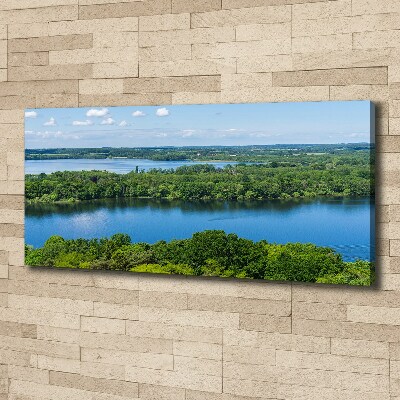 Bild auf leinwand Wald am See