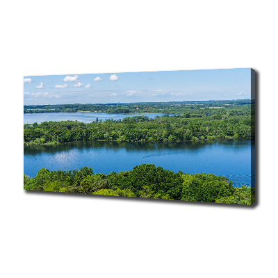 Bild auf leinwand Wald am See