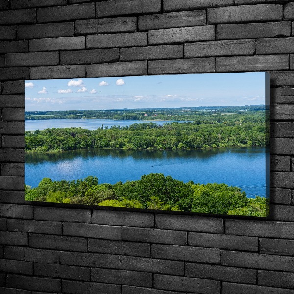 Bild auf leinwand Wald am See