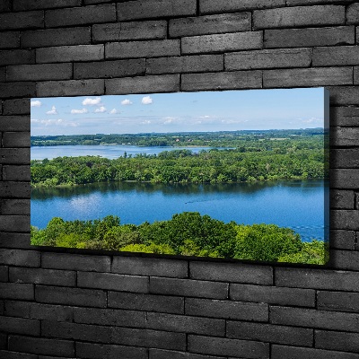Bild auf leinwand Wald am See
