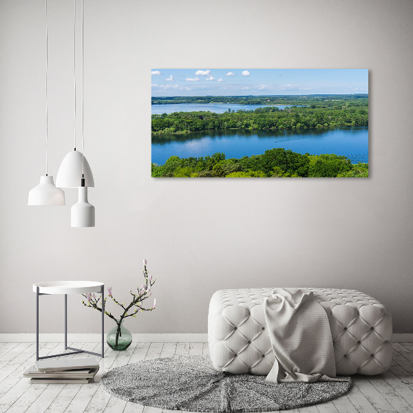 Bild auf leinwand Wald am See