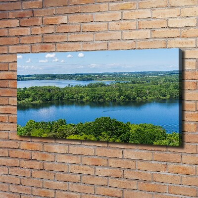 Bild auf leinwand Wald am See