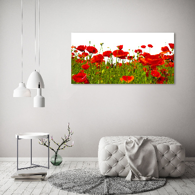 Bild auf leinwand Feldmohn
