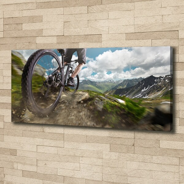 Bild auf leinwand Mountainbiken