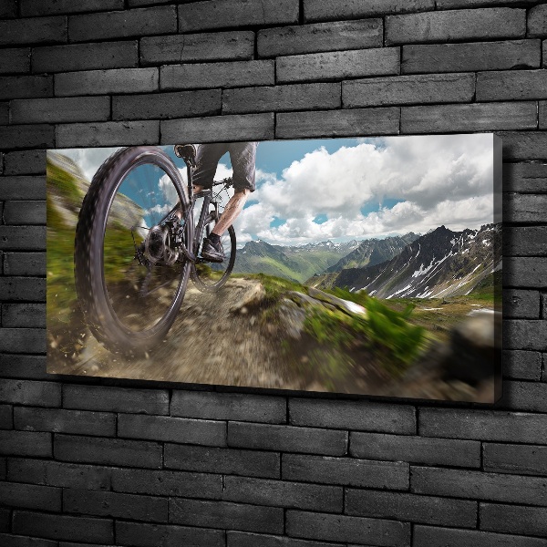 Bild auf leinwand Mountainbiken