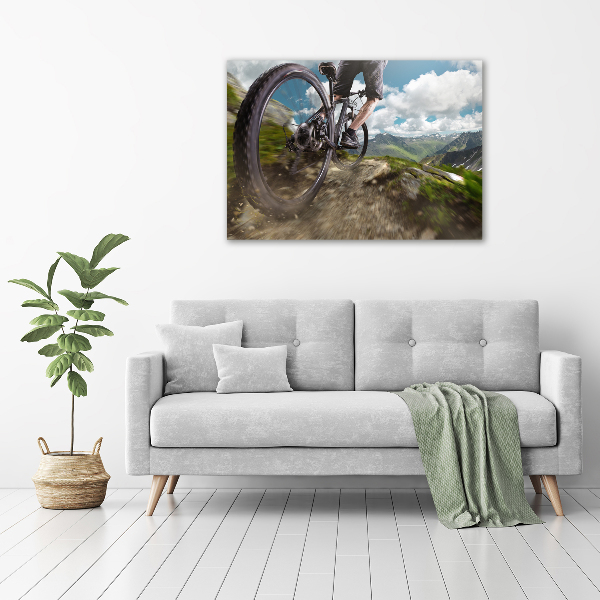 Bild auf leinwand Mountainbiken