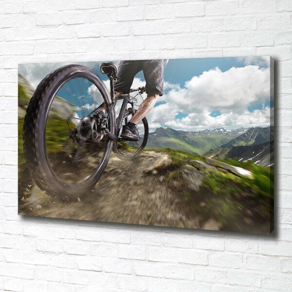 Bild auf leinwand Mountainbiken