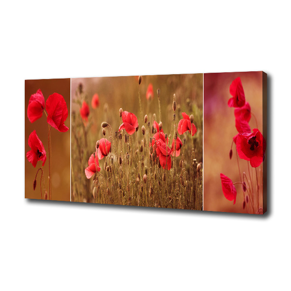 Bild auf leinwand Mohnblumen-Triptychon