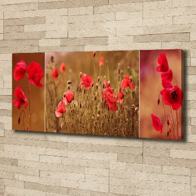 Bild auf leinwand Mohnblumen-Triptychon