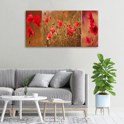 Bild auf leinwand Mohnblumen-Triptychon