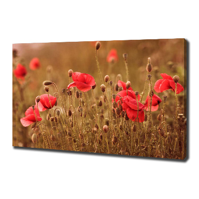 Bild auf leinwand Mohnblumen-Triptychon