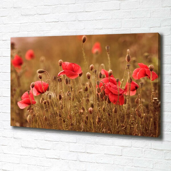 Bild auf leinwand Mohnblumen-Triptychon