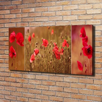 Bild auf leinwand Mohnblumen-Triptychon
