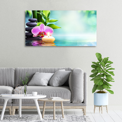 Wandbild Bambusorchidee