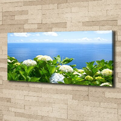 Bild auf leinwand Blumen am Meer