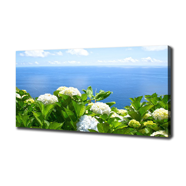 Bild auf leinwand Blumen am Meer