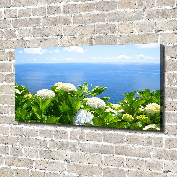 Bild auf leinwand Blumen am Meer