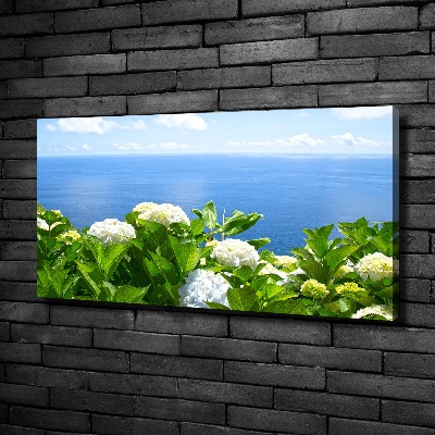Bild auf leinwand Blumen am Meer