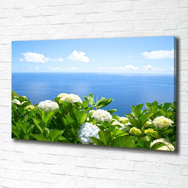 Bild auf leinwand Blumen am Meer