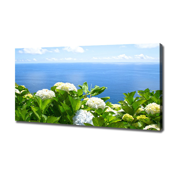 Bild auf leinwand Blumen am Meer