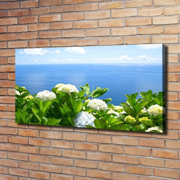 Bild auf leinwand Blumen am Meer