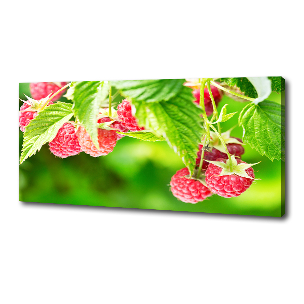 Fotobild Himbeeren im Garten