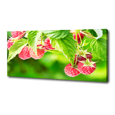 Fotobild Himbeeren im Garten