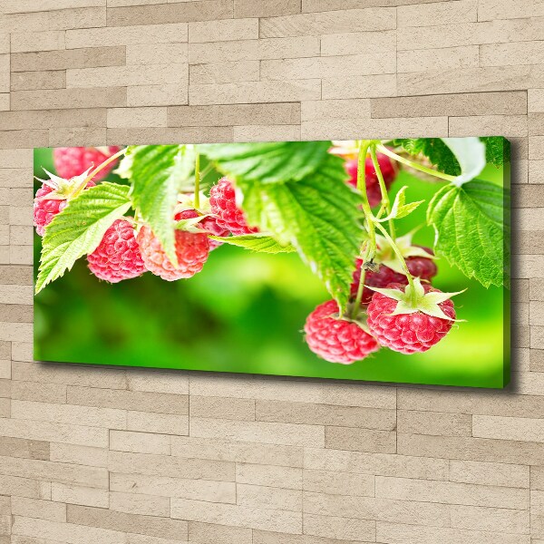 Fotobild Himbeeren im Garten