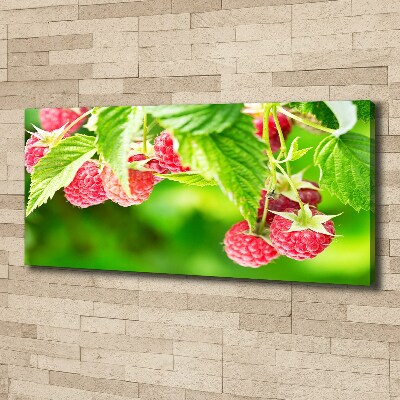Fotobild Himbeeren im Garten