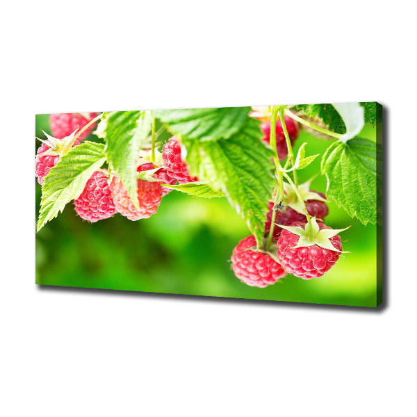 Fotobild Himbeeren im Garten
