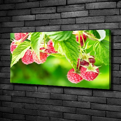 Fotobild Himbeeren im Garten