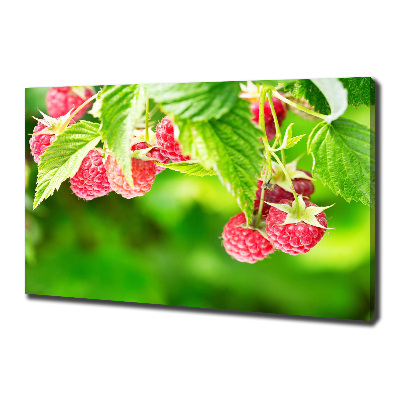 Fotobild Himbeeren im Garten