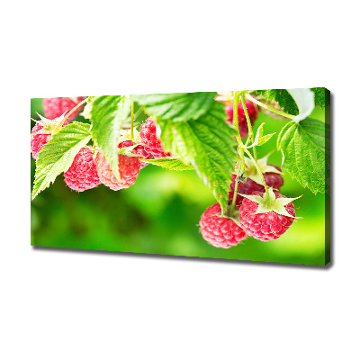 Fotobild Himbeeren im Garten