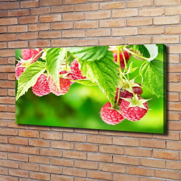Fotobild Himbeeren im Garten