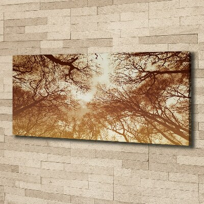 Bild auf leinwand Wald