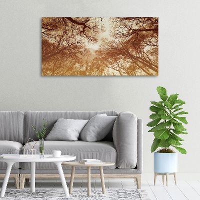 Bild auf leinwand Wald