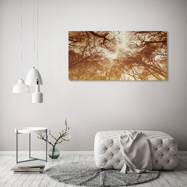Bild auf leinwand Wald
