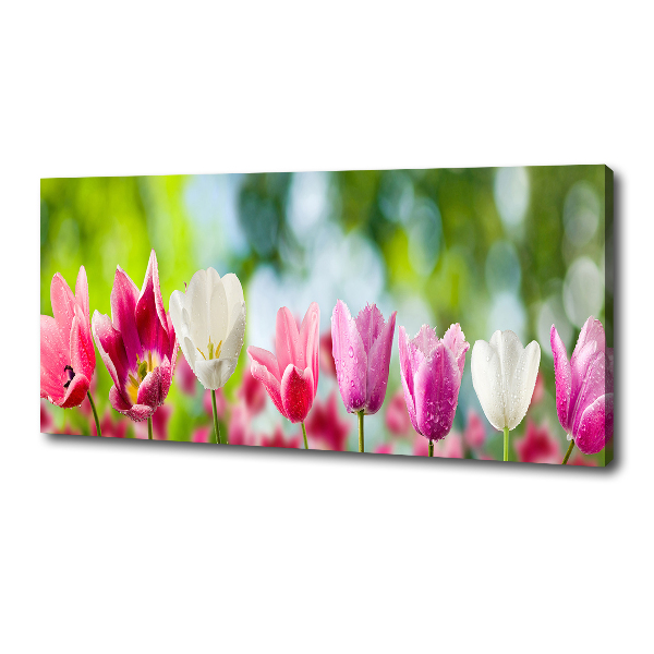 Bild auf leinwand Tulpen