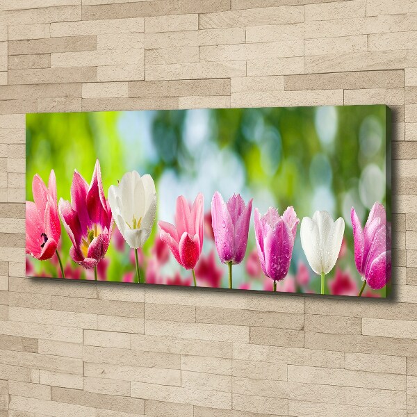 Bild auf leinwand Tulpen