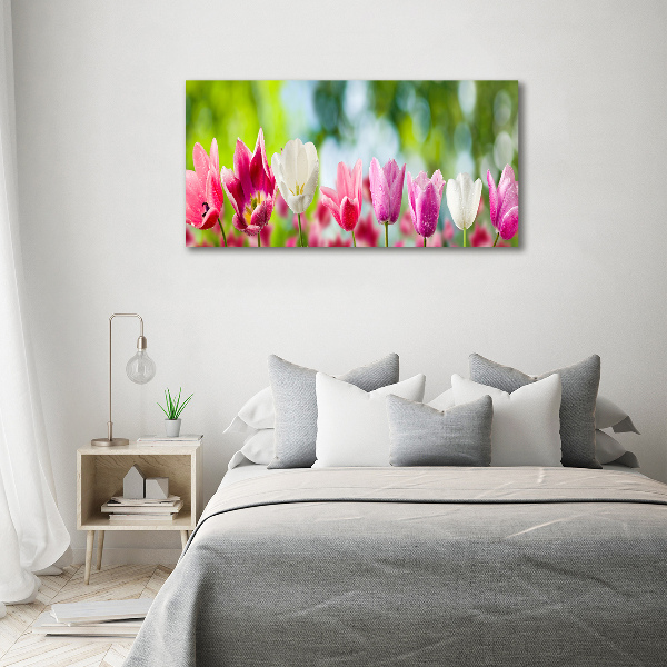 Bild auf leinwand Tulpen