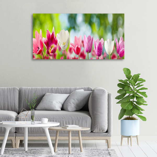 Bild auf leinwand Tulpen