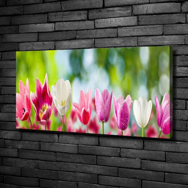 Bild auf leinwand Tulpen