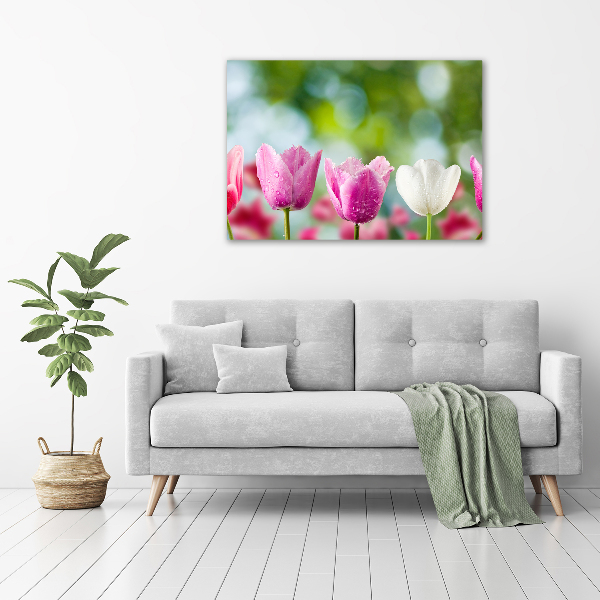 Bild auf leinwand Tulpen