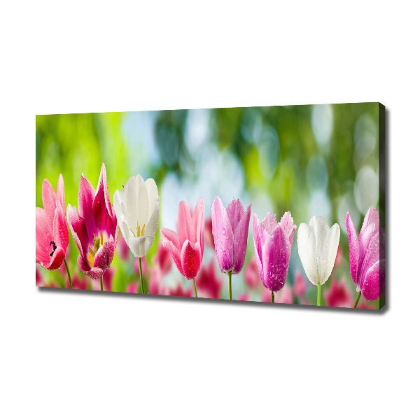 Bild auf leinwand Tulpen