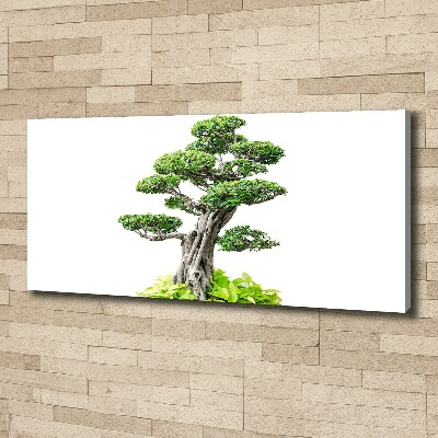 Wandbild Bonsai-Baum