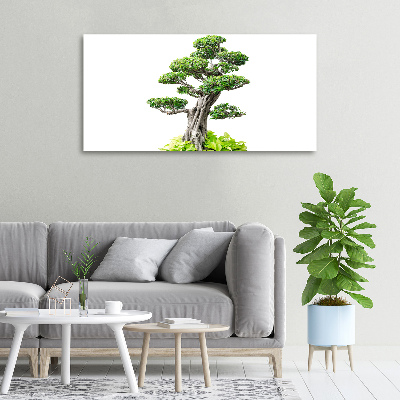 Wandbild Bonsai-Baum