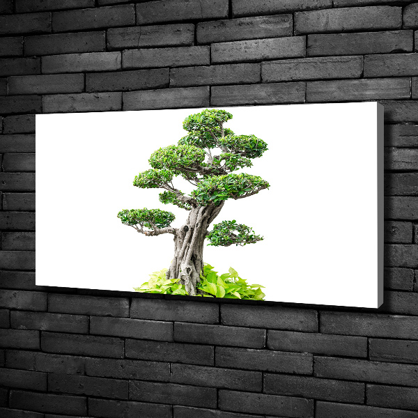 Wandbild Bonsai-Baum